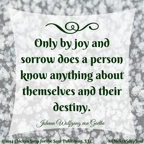 Only By Joy And Sorrow Does A Person Know Anything About Themselves And Their Destiny ~johann