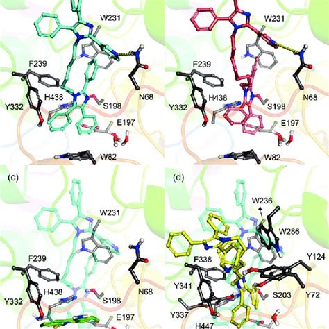 Predicted Binding Modes Of The Compounds A 11b Carbon Atoms Colored Download Scientific