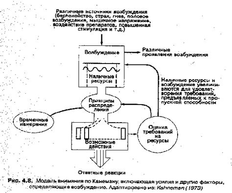 Внимание как умственное усилие (ёмкостная модель д.Канемана)