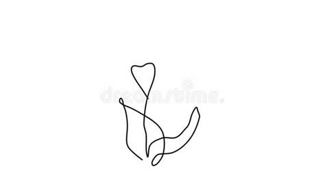 Animated Self Drawing Of Single Continuous Line Draw For A Beautiful