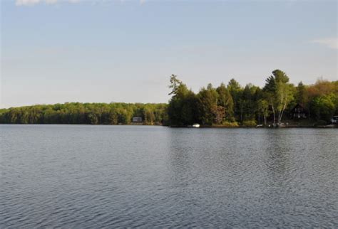 Gravenhurst Cottages For Sale - Bonnie Looby - Muskoka and Parry Sound ...