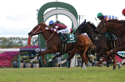 藤田 晋 様所有馬 シンエンペラー号がラジオnikkei杯京都2歳ステークス優勝 ニュース＆トピックス 一般社団法人中山馬主協会