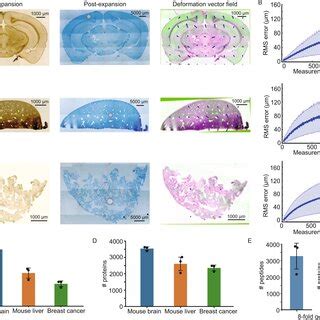 Pdf Spatially Resolved Proteomics Via Tissue Expansion