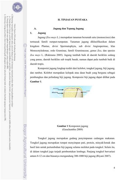 Pdf Ii Tinjauan Pustaka A Jagung Dan Tepung Jagung Jagung