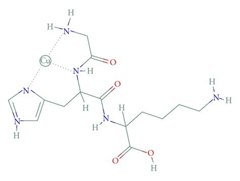 Molecular Structure Of The Tripeptide Ghk Cu In Solution Lysine