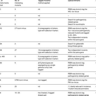 Examples For Mutant Phenotypes Created With Insertional Mutagenesis In