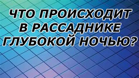 ЭКСКУРСИЯ В МОЙ НОЧНОЙ РАССАДНИК. - YouTube