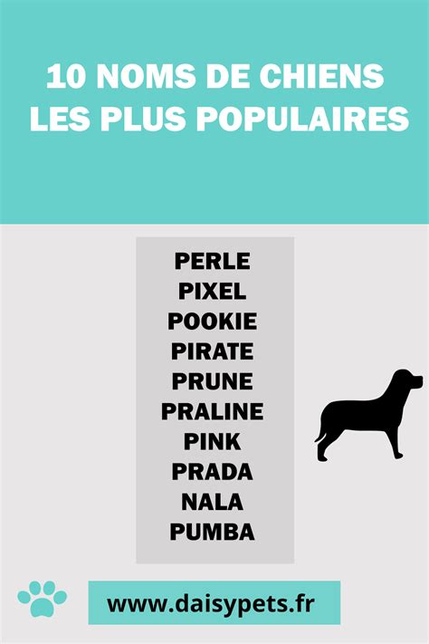 10 NOMS DE CHIENS LES PLUS POPULAIRES Pets