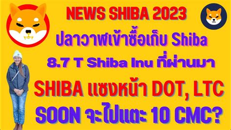 Shiba Ep 76 News ปลาวาฬซอ 8 7 T Shiba Inu ชวงทผานมา IShiba แซง