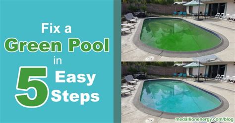 Fix A Green Pool In 5 Easy Steps Get Rid Of Pool Algae