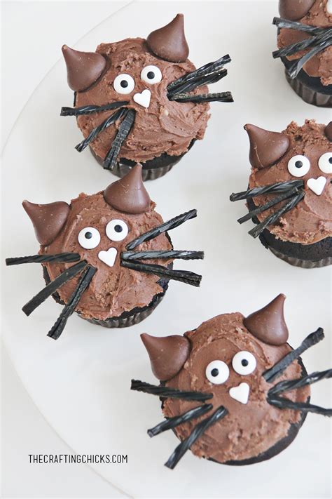 Cat Cupcake
