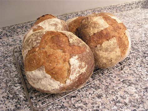 83010 2 Stage Liquid Levain Sourdough Boules The Fresh Loaf