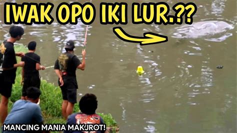 TERCENGANG MANCING DI AIR KERUH IKANNYA BERMUNCULAN Siapa Sangka