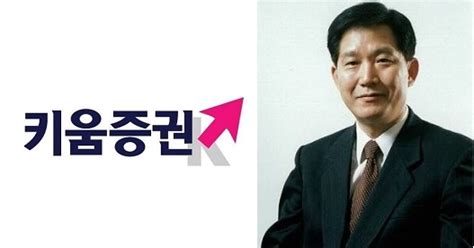 김익래 회장 SG발 하한가 연루 키움證 급락