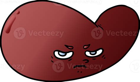 Cartoon Gall Bladder 45046132 Png