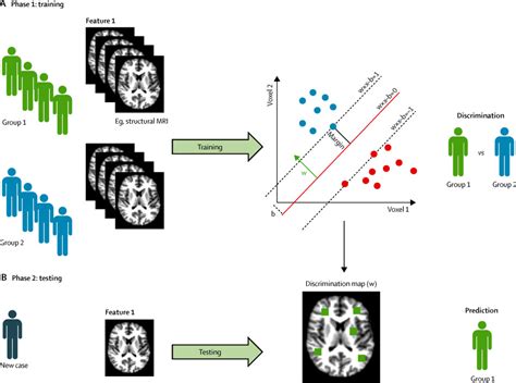 Neuroimaging In Autism Spectrum Disorder Brain Structure And Function