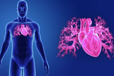 Infarto Miocardico Acuto Cos Diagnosi E Cura Ihealthyou