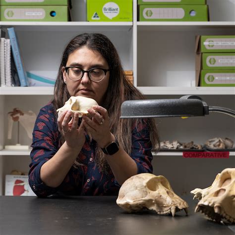 Proboscis Monkeys' Bulbous Noses Send Females Wild At The Sight - And ...