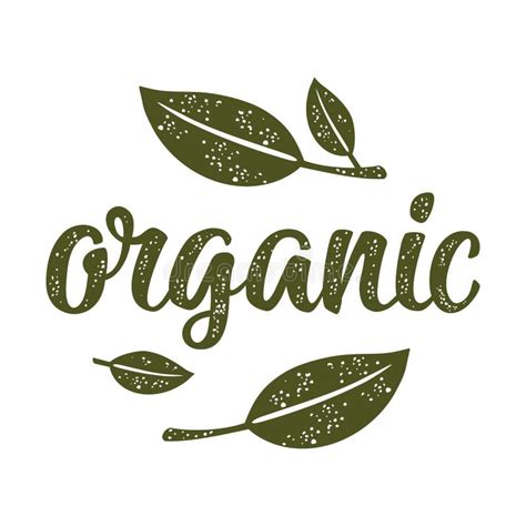 Organic Lettering Lettering With Leaf Vector Dark Green Vintage