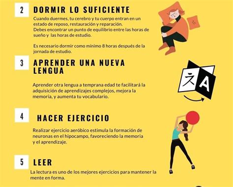 Claves De La Neurociencia Para Mejorar El Aprendizaje