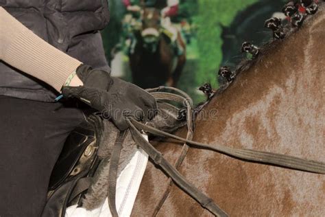 The Rider Holds The Reins In His Hands On A Horse Stock Image Image