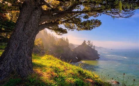 HD wallpaper: Cape Arago, sky, Oregon, landscape | Wallpaper Flare