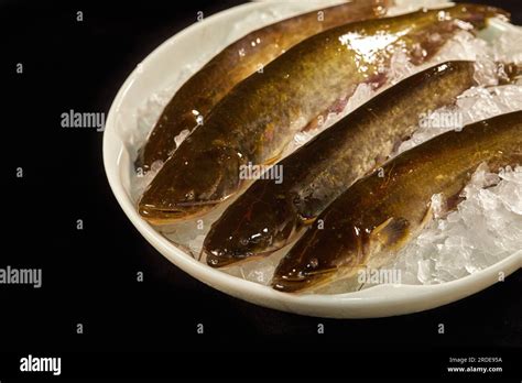 Chinese Foodspicy Yellow Bone Fishyellow Cartfish Stock Photo Alamy