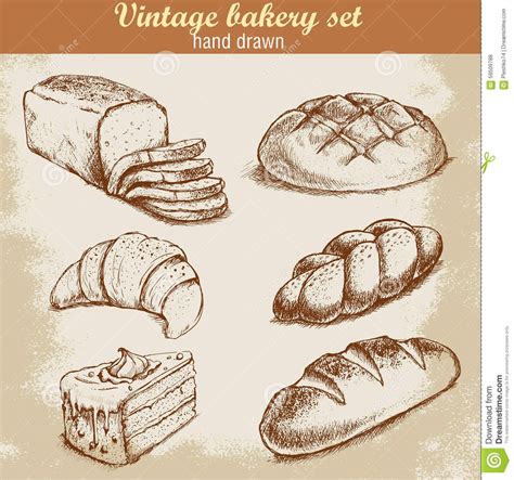 Vintage Hand Drawn Sketch Style Bakery Set Stock Vector Illustration