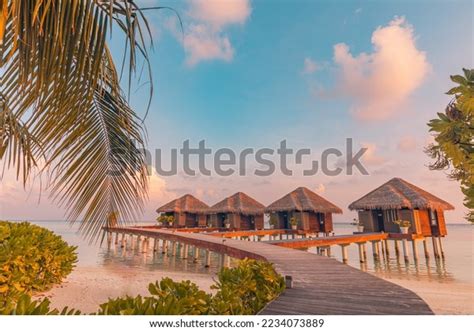 Amazing Beach Landscape Beautiful Maldives Sunset Stock Photo ...