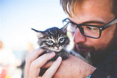 Devenez Le Meilleur Ami De Votre Chat Jade Allegre Argile Animaux