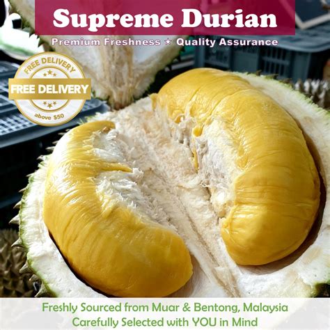 Where To Buy Durian In Singapore Is Rated The Best In 04 2024 BeeCost