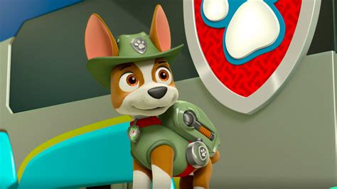 Tracker Paw Patrol Photo 40149295 Fanpop Page 33