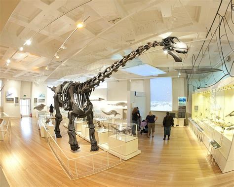 THE 10 BEST Things to Do in Leicester with Kids