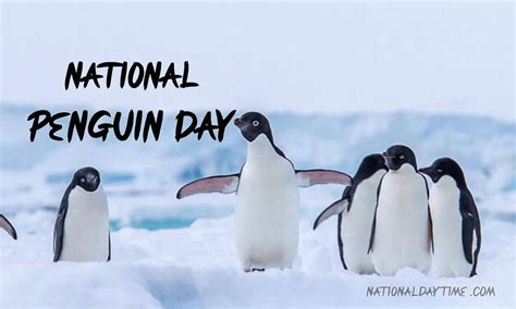 World Penguin Day Theme Anni Claudina