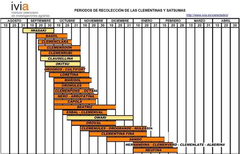 Cítricos Variedades Calendarios recolección Ferrer Viveros