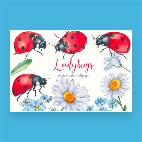 Watercolor Ladybug Clipart Bundle Cute Insect Png Masterbundles