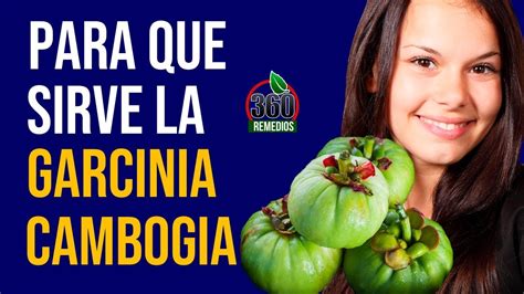 Garcinia Para Que Sirve Garcinia Cambogia Para Que Es Youtube