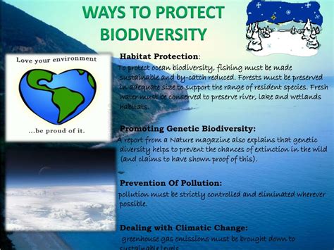 Ppt Conservation Of Biodiversity Powerpoint Presentation Free