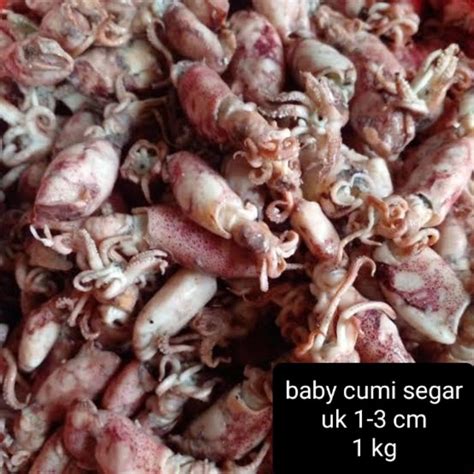 Jual Cumi Asin Rebus Size Baby 1 Kg Shopee Indonesia