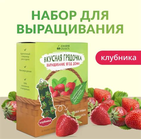 Вкусная Грядочка Набор для выращивания клубники | отзывы