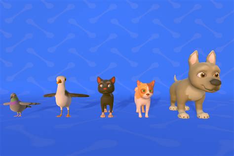 Stylized And Rigged Low Poly Animals Catdogseagullpigeon Set Pack