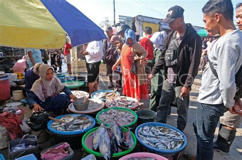 Hasil Tangkapan Ikan Menurun Antara Foto