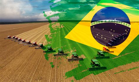 O Agro brasileiro ganha protagonismo e relevância na produção de