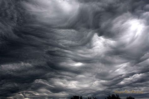 Hampton Road Photography Repost For Thematic Photographic Undulatus