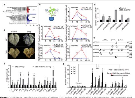 Figure From Chemical Induction Of Leaf Senescence And Powdery Mildew