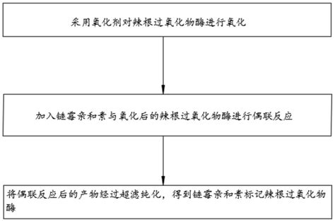 一种链霉亲和素标记辣根过氧化物酶的制备方法与流程