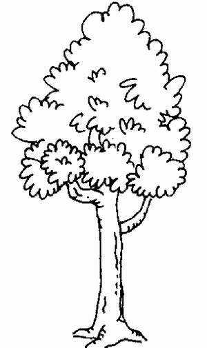 Gambar Lukisan Pokok Sketch Coloring Page