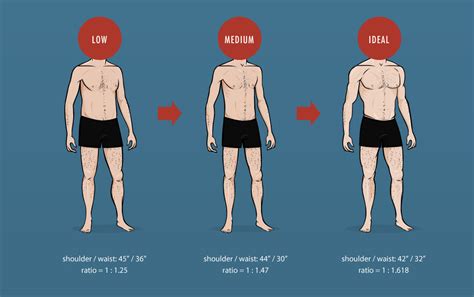 The Ideal Male Body Weight Chart Shoulder Waist Ratio Big — Bony To Beastly