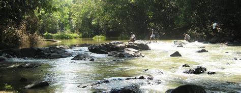 Kuruva Island, Wayanad - Experience Kerala