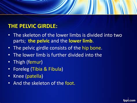 Solution Pelvic Girdle 1 A P Studypool